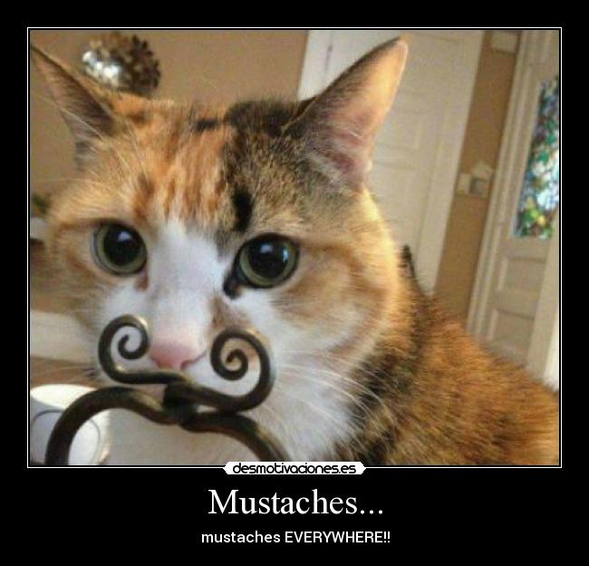 Mustaches... - 