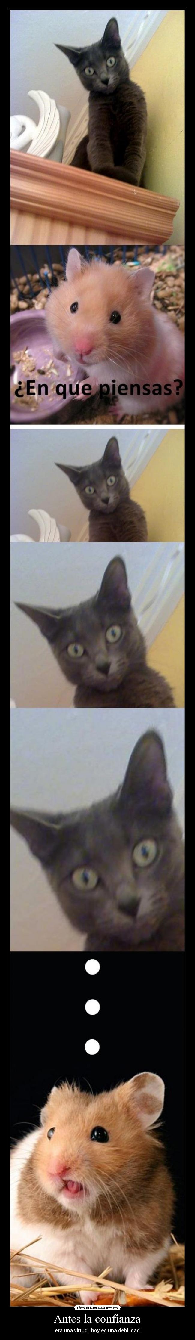 Antes la confianza -