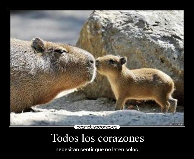 Todos los corazones - necesitan sentir que no laten solos.