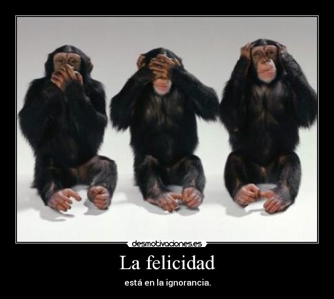 La felicidad - está en la ignorancia.