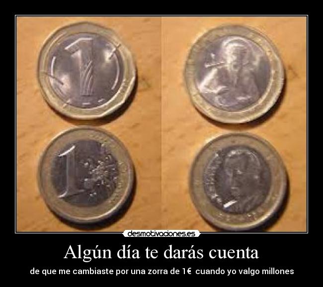 Algún día te darás cuenta - de que me cambiaste por una zorra de 1€ cuando yo valgo millones
