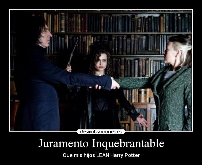 carteles harry potter desmotivaciones