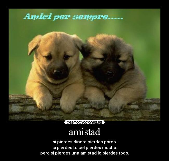 amistad - si pierdes dinero pierdes porco.
si pierdes tu cel pierdes mucho.
pero si pierdes una amistad lo pierdes todo.