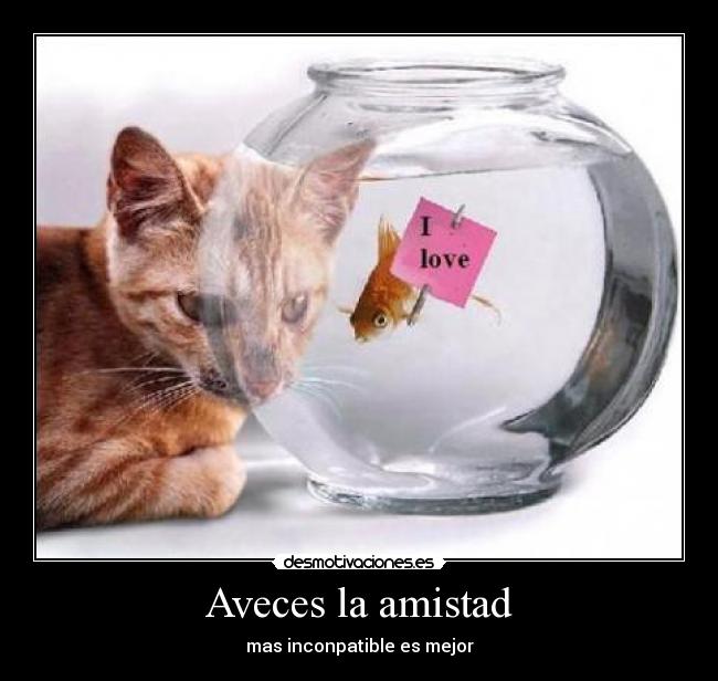 Aveces la amistad - mas inconpatible es mejor