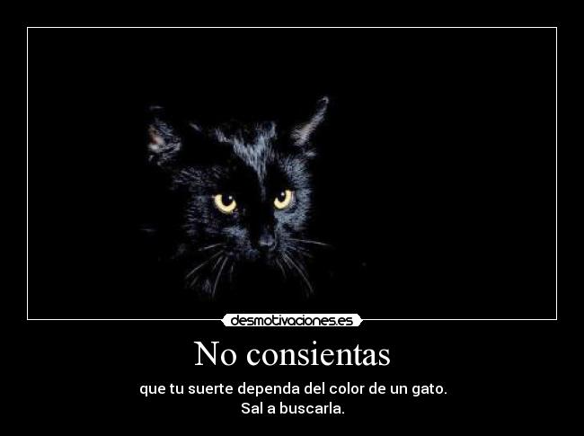 No consientas - que tu suerte dependa del color de un gato.
Sal a buscarla.