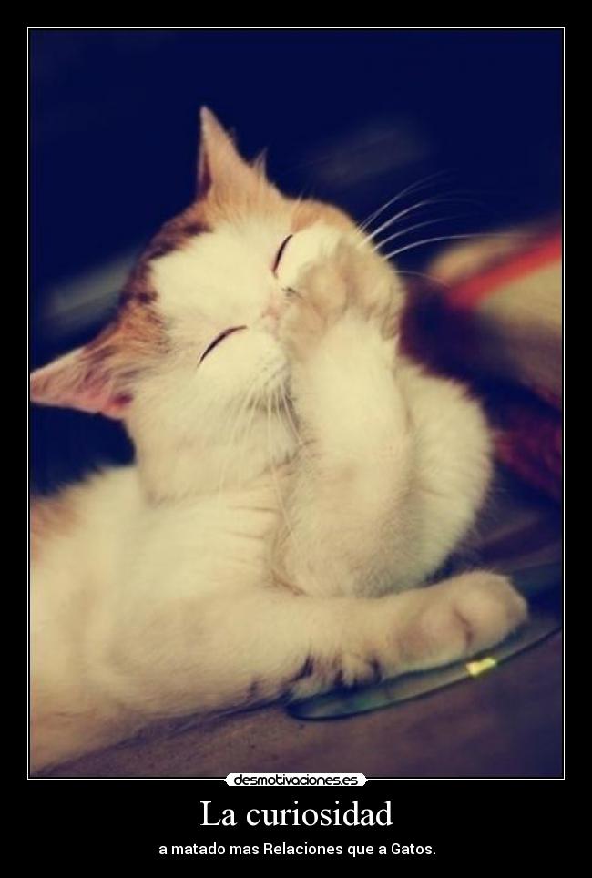 La curiosidad - a matado mas Relaciones que a Gatos.