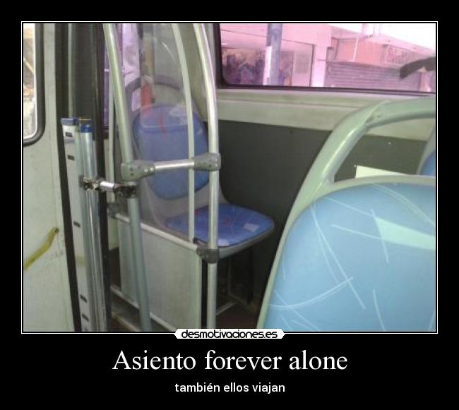 Asiento forever alone - también ellos viajan