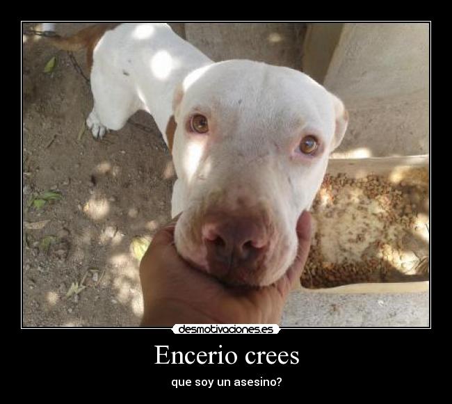Encerio crees - 