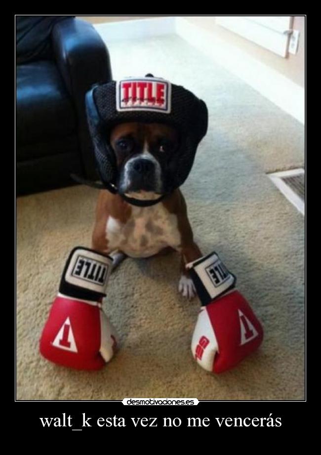 walt_k esta vez no me vencerás -