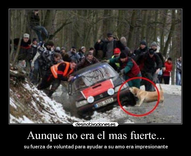 im-genes-y-carteles-de-gbgbgb-desmotivaciones