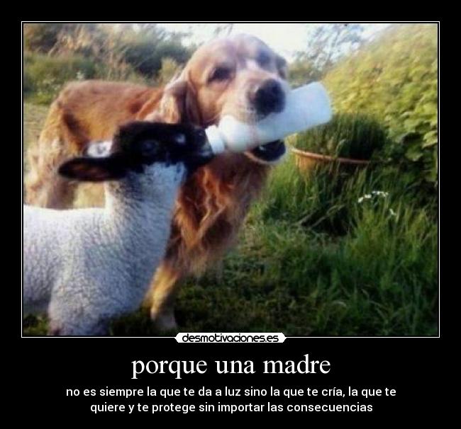 porque una madre -