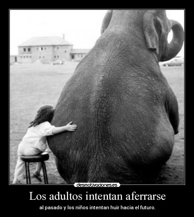 Los adultos intentan aferrarse - 