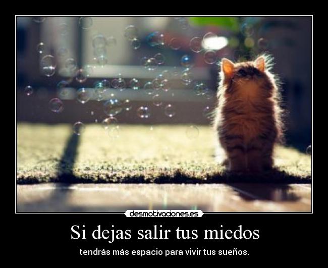 Si dejas salir tus miedos - tendrás más espacio para vivir tus sueños.