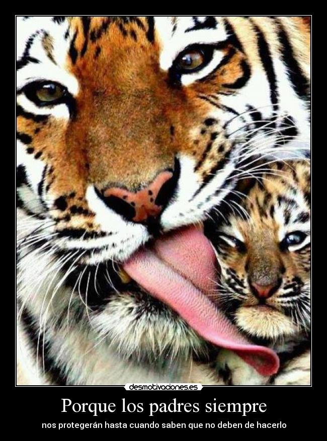 Porque los padres siempre -