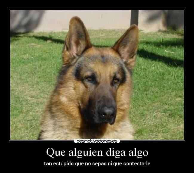 carteles amigos estupidos desmotivaciones