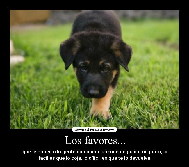 Los favores... - que le haces a la gente son como lanzarle un palo a un perro, lo
fácil es que lo coja, lo díficil es que te lo devuelva