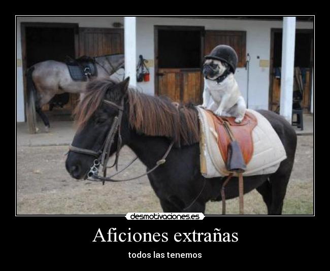 Aficiones extrañas - todos las tenemos