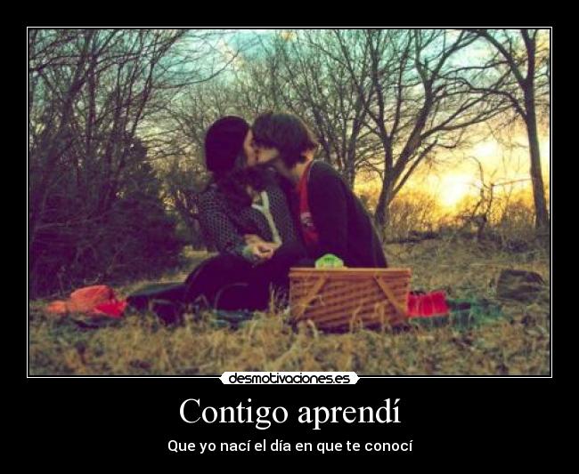 Contigo aprendí -