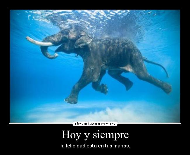 Hoy y siempre - la felicidad esta en tus manos.