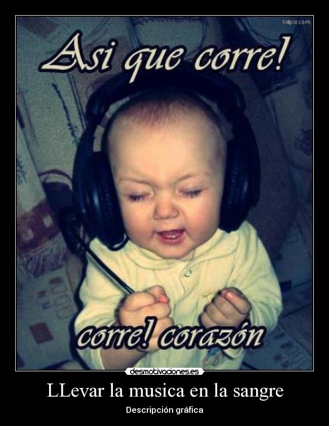 LLevar la musica en la sangre - Descripción gráfica