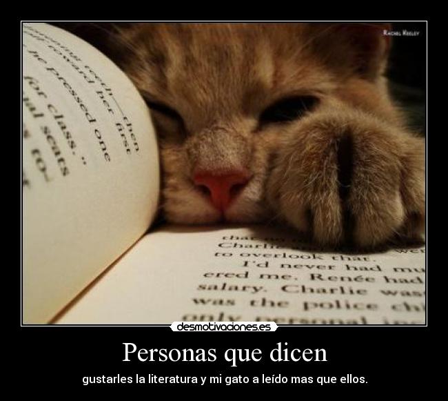 Personas que dicen - gustarles la literatura y mi gato a leído mas que ellos.