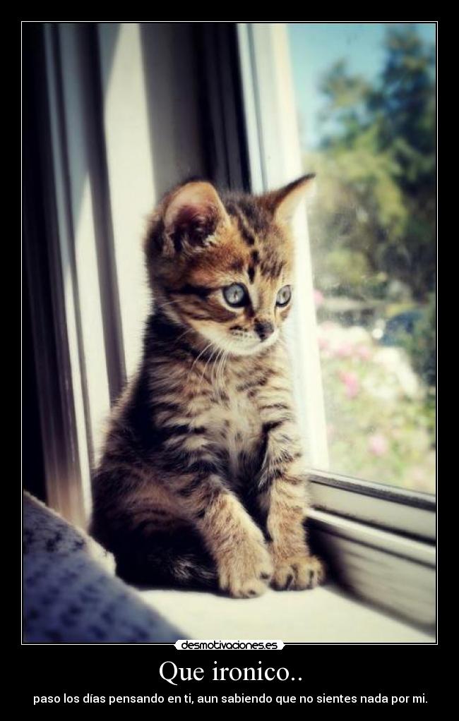 Que ironico.. - paso los días pensando en ti, aun sabiendo que no sientes nada por mi.