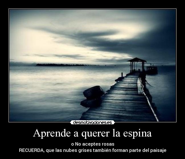 Aprende a querer la espina -
