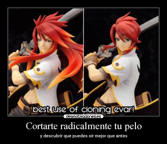 carteles harukaze nigatsu tales abyss luke fon fadre ewe dedicado onepiecebiersack saizou chan desmotivaciones