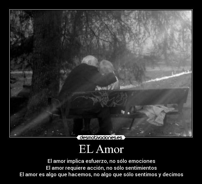 carteles amor amor desmotivaciones