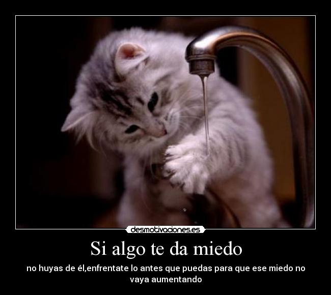 Si algo te da miedo - no huyas de él,enfrentate lo antes que puedas para que ese miedo no
vaya aumentando
