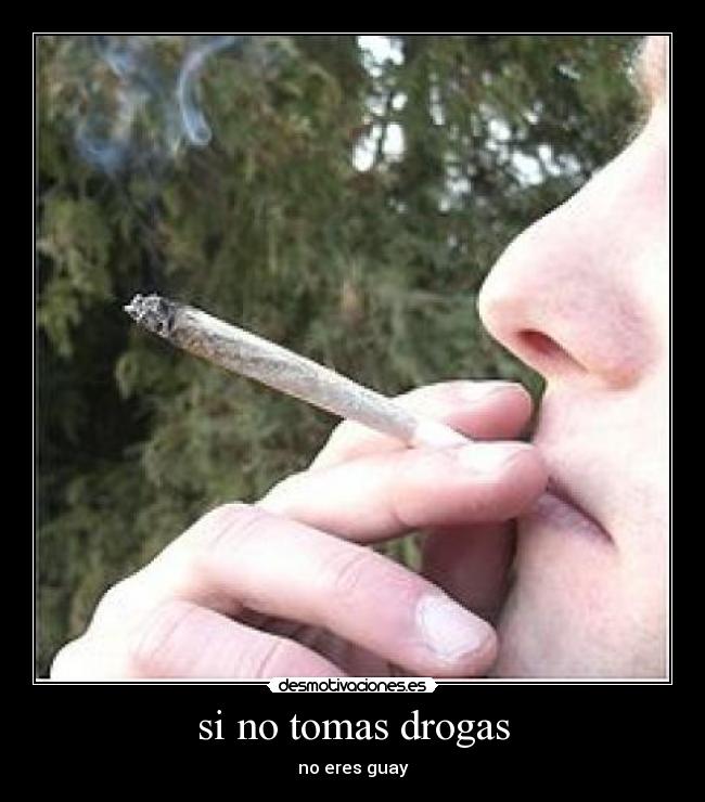 si no tomas drogas -