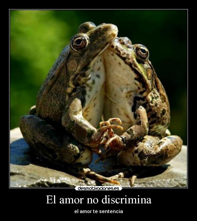 El amor no discrimina - el amor te sentencia