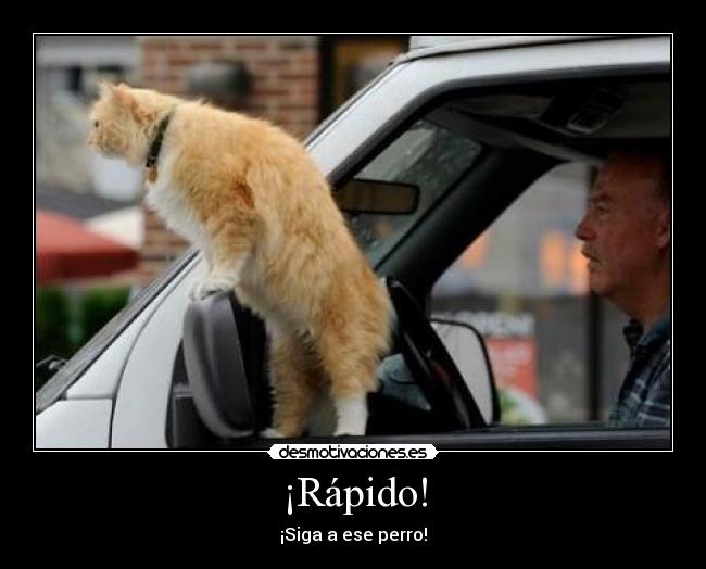 ¡Rápido! -