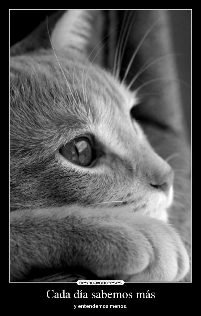 Cada día sabemos más -