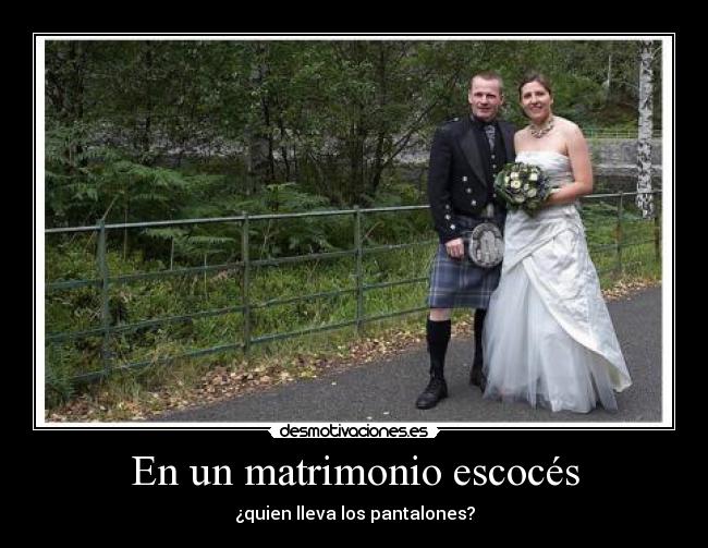 carteles dilema desmotivaciones