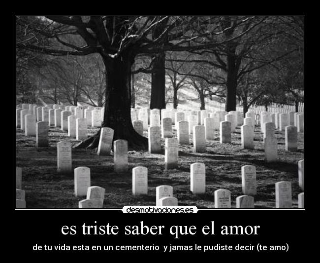 es triste saber que el amor - de tu vida esta en un cementerio y jamas le pudiste decir (te amo)