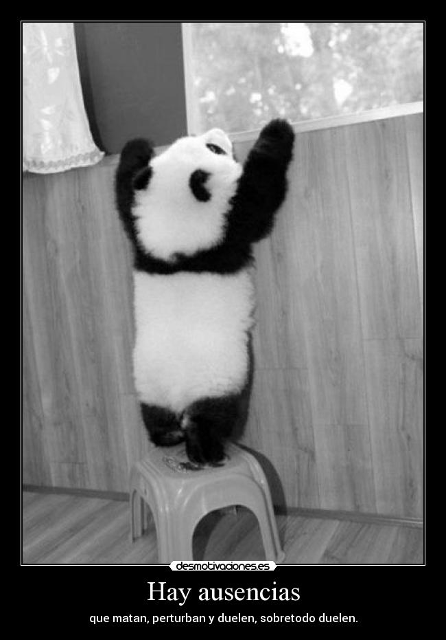 Hay ausencias - que matan, perturban y duelen, sobretodo duelen.
