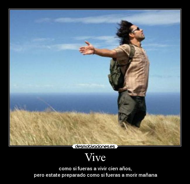 Vive - 