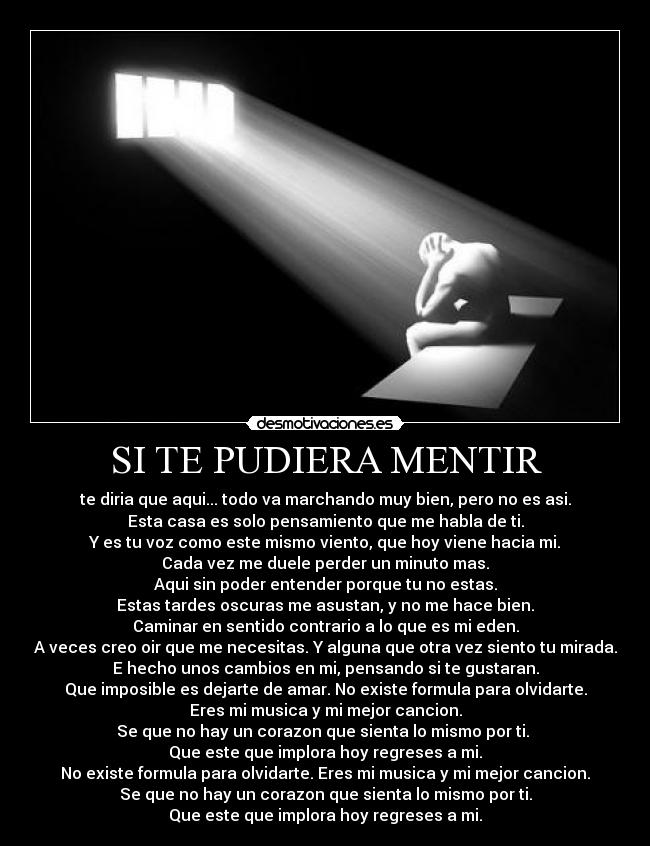 carteles pudiera mentir desmotivaciones