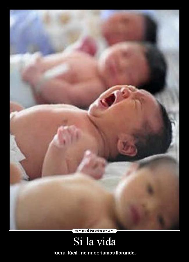 Si la vida - fuera fácil , no naceríamos llorando.