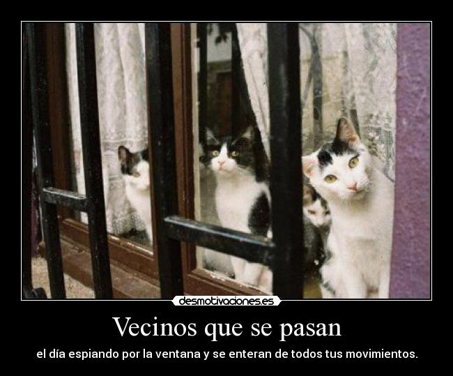 Vecinos que se pasan - el día espiando por la ventana y se enteran de todos tus movimientos.