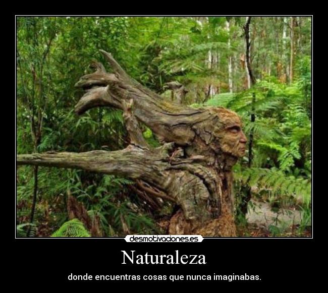 Naturaleza - 