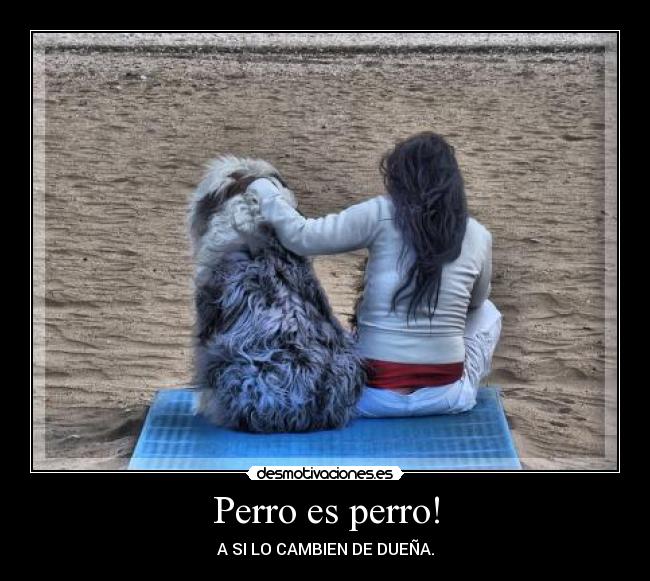 Perro es perro! - A SI LO CAMBIEN DE DUEÑA.