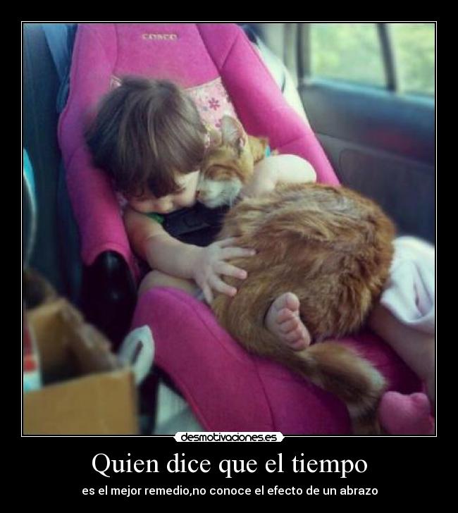 carteles mariposa monarca desmotivaciones