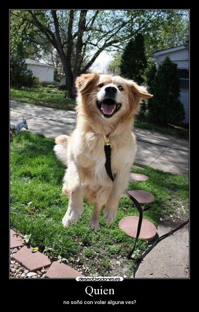 Quien - no soñó con volar alguna ves?