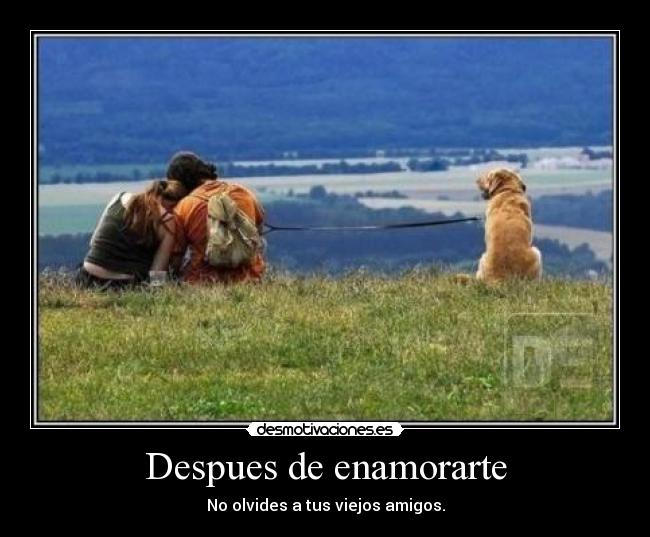 Despues de enamorarte - 