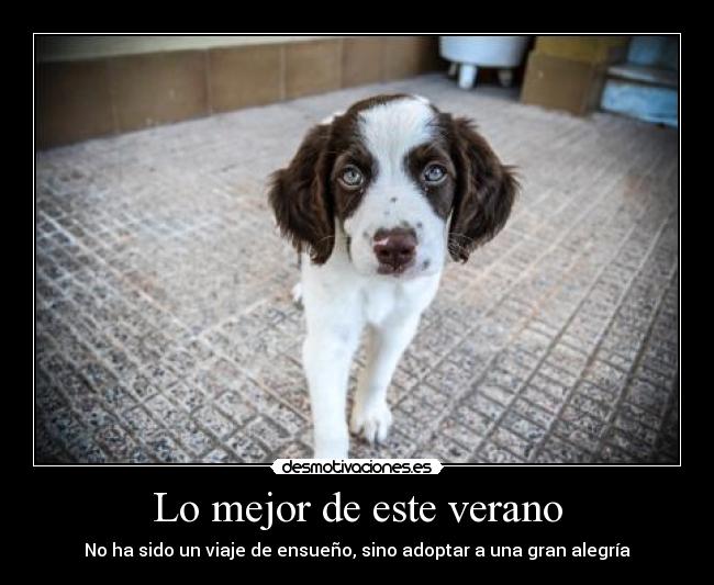 Lo mejor de este verano - 