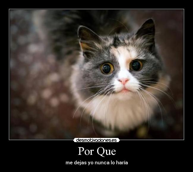Por Que - me dejas yo nunca lo haría