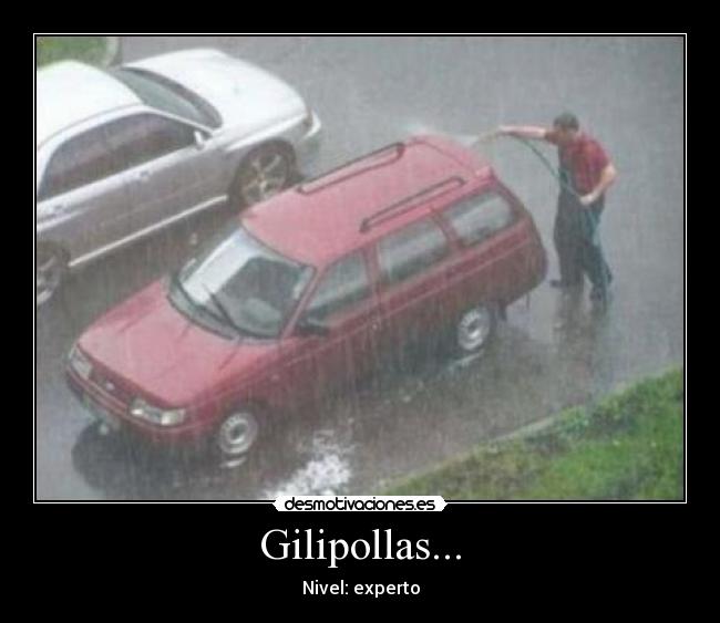Gilipollas... - 