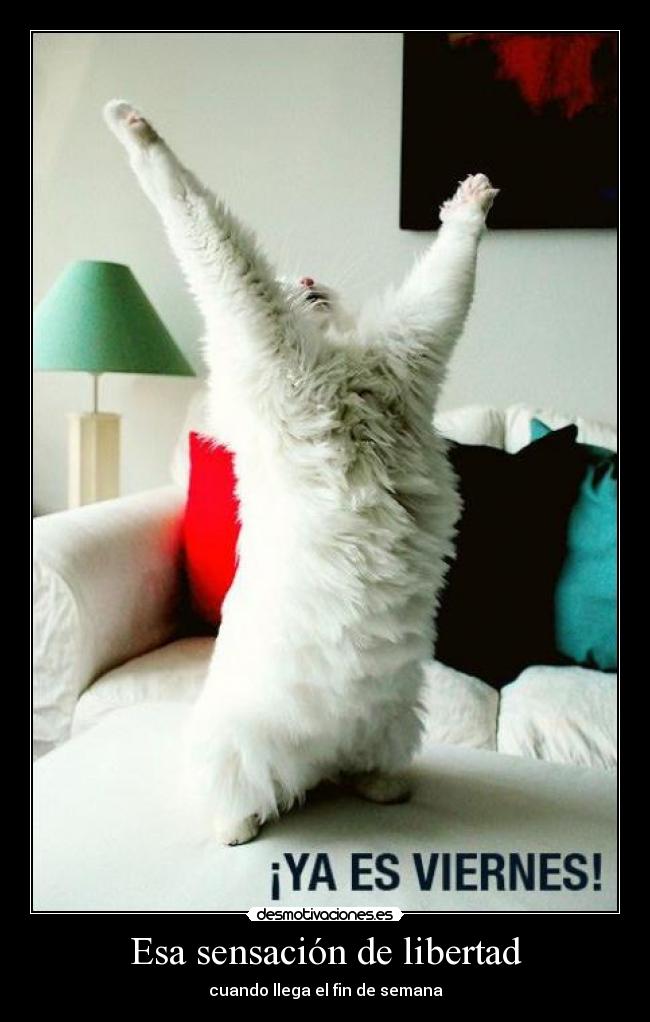 Esa sensación de libertad -